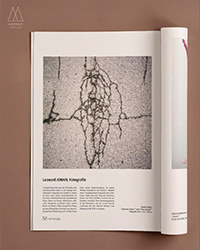 Magazin Vernissage